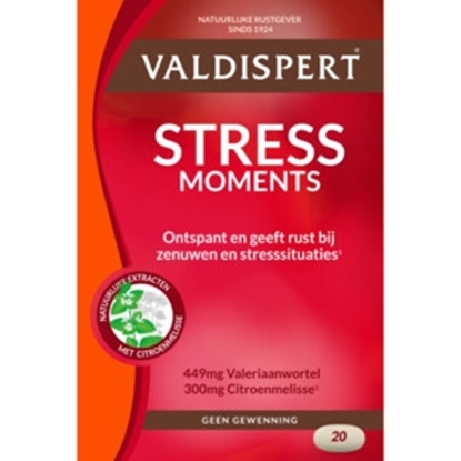 VALDISPERT STRESS MOMENTS 20 TABL